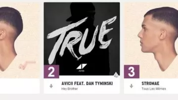 Canción de Hey Brother vista en Formidable - Stromae (reseña) (Linksthesun)