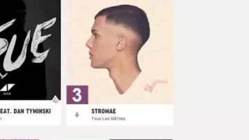 Song All the Same (Stromae) view in Formidable - Stromae (critique) (Linksthesun)