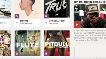 Song Timber (Pitbull) view in Formidable - Stromae (critique) (Linksthesun)