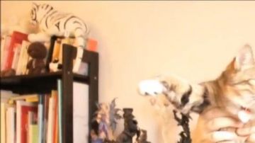 Plush 'Little big planet' - Sackboy visto en Culture Point en Disneys (Linksthesun)