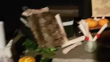 The Monster Book of Monsters Plush seen in Vlog - On the set of the Player of the Attic ! of Linksthesun