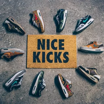 The nike air max 1 atmos safari @tadsnkrs on his account instagram