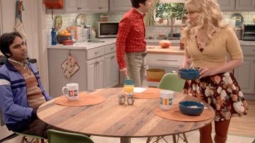Bernadette y Howard's Green Kitchen Chair en The Big Bang Theory S10E01