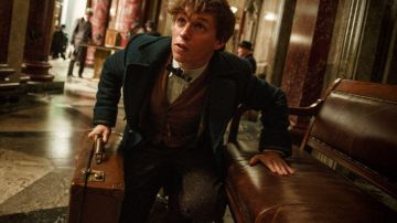 The suitcase version witch/muggle Norbert Dragon (Eddie Redmayne) in Fantastic Animals