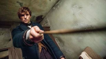 The magic wand of Norbert Dragon (Eddie Redmayne) in Fantastic Animals