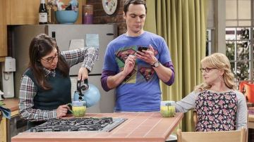 The top-of-maternity-flower Bernadette Rostenkowski (Melissa Rauch) The Big Bang Theory