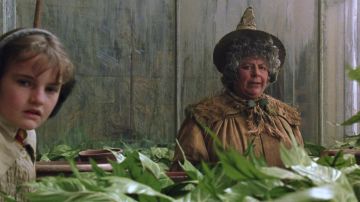The magic wand of Pomona Chourave (Pomona Chourave) in Harry Potter and the Chamber of Secrets