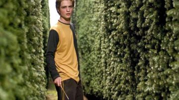 La varita de Cédric Diggory (Robert Pattinson) en Harry Potter y el cáliz de fuego