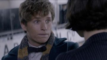 The scarf of Newt Scamander (Eddie Redmayne) in Fantastic Animals