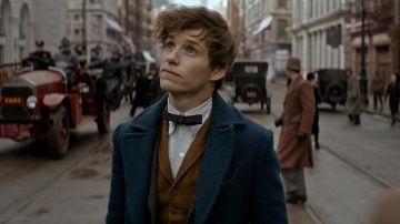 The coat of Newt Scamander (Eddie Redmayne) in Fantastic Animals