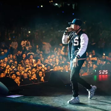 cookie monster jordan 8