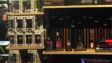 Turner of time Harry Potter