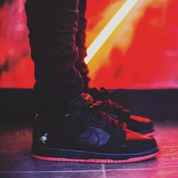sneakers Nike Dunk SB Low Staple NYC Black Pigeon views on the account Instagram of labulledair