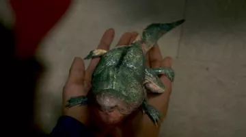 La réplique de la créature Dart vue dans Stranger Things S02E03