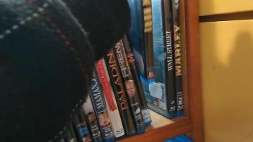 Film "Paladin: The last hunter of Dragons"