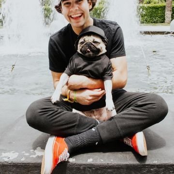 The pair of Vans oranges of David Dobrik on his account Instagram