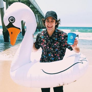 The buoy-white swan of David Dobrik on his account Instagram