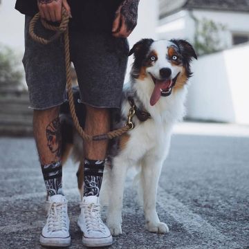 El par de blancos en ascenso conversan en la publicación de instagram de outfitsociety
