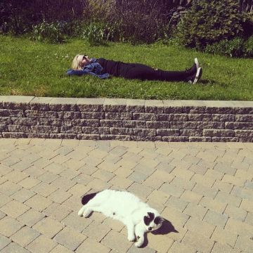 Los zapatos negros Converse Chuck Taylor All Star II H usados por Evanna Lynch en su cuenta de Instagram