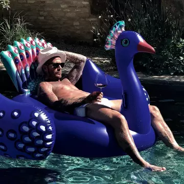 La bouée géante Paon de David Beckham sur le compte Instagram de Victoria Beckham