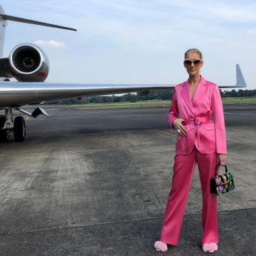 Le sac à broderies Gucci Sylvie Small Floral Embroidered Shoulder Bag de Céline Dion sur son compte Instagram