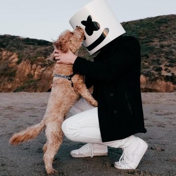 Sneakers Vans SK8 hi white worn by Marshmello on his account Instagram