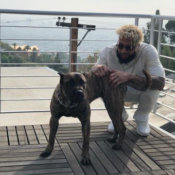 Shoes Nike Air Max Plus white worn by Odell Beckham Jr on his account Instagram