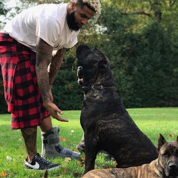 Sneakers Nike Air Force 1 '07 Lv8 "nba" worn by   Odell Beckham on his Instagram account