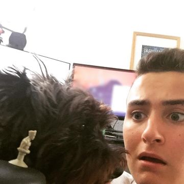 The figurine of groot MARVEL white (won in the E. LECLERC) view on a photo to Instagram of Hugo Posay (@hugop0say)