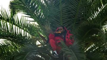 King's Dead: Kendrick Lamar wears black Cortez sneakers in his music video with Jay Rock, Future and James Blake