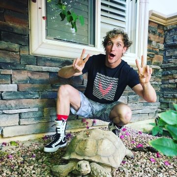 The black t-shirt (in white) multi logo Maverick, Logan Paul, near a turtle on Instagram