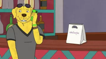 Sunglasses worn by Mr. Peanutbutter as seen in Bojack Horseman
