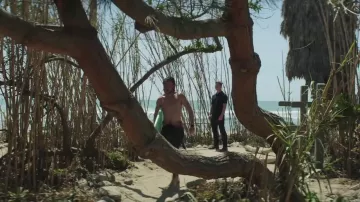 San Onofre Beach en Californie, comme on le voit dans le Règne Animal S01E05