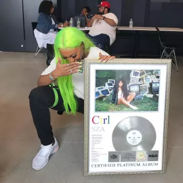 Sneakers Nike Air Presto "off White" made by SZA on the account instagram of @complex