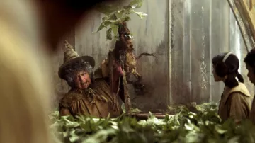 The replica of the pots of Mandrakes introduced by professor Pomona Chourave (Miriam Margolyes) in Harry Potter and the chamber of secrets
