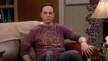 Le t-shirt Harry Potter "Gryffondor" par BoxLunch porté par Sheldon Cooper (Jim Parsons) dans The Big Bang Theory S12E06
