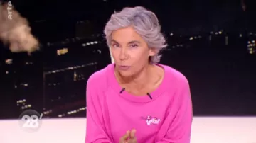 El Jersey Bordado Pantera Rosa de Elisabeth Quin en 28 minutos del 02/10/2018