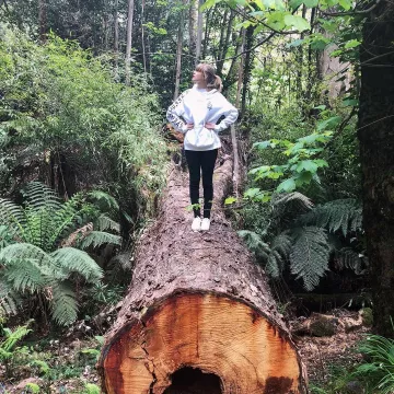 The sweatshirt hoody worn by Taylor Swift on her account Instagram @taylorswift