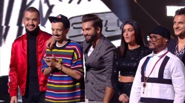 Le Pull à rayures 'Jumping Tiger' de Bigflo dans NRJ Music Awards du 10/11/2018