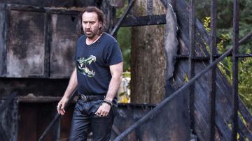 The t-shirt crocodile carried by Joe (Nicolas Cage) in Between Worlds