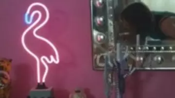 La lampe néon flamant rose de Marlene (Marion Cotillard) dans le film Gueule d'ange