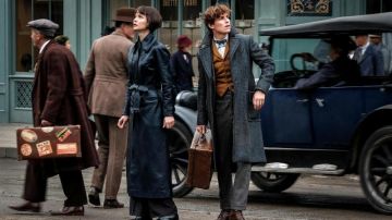 The costume female version of Newt Scamander (Eddie Redmayne) in The Fantastic Animals : The crimes of Grindelwald