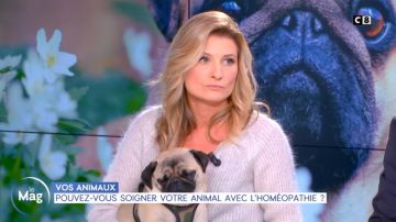 Le Pull avec du mohair et du lurex de Sandrine Arcizet dans William à midi du 09/11/2018