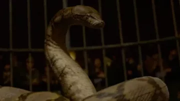 The replica model of Nagini (Claudia Kim) in The fantastic Animals : The Crimes of Grindelwald