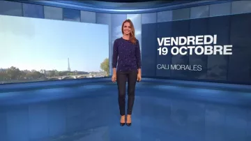 Le Pull marine léopard de Cali Morales dans Météo (m6) du 19/10/2018
