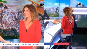 Le Pull à col V découpes au dos de Caroline Ithurbide dans William à midi du 15/11/2018