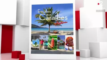 The book "Stop in the Caribbean" by Antoine in Vivement dimanche