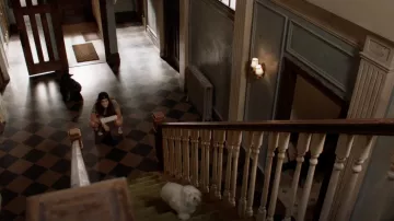 La pareja Grey Converse de Fiona Gallagher (Emmy Rossum) en Shameless S09E07