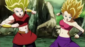 The pants purple worn by Caulifla in Dragon Ball Super