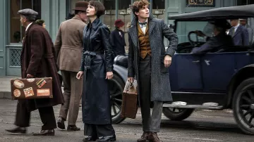 Pants gray tweed Norbert Dragon (Eddie Redmayne) in The fantastic animals : The crimes of Grindelwald